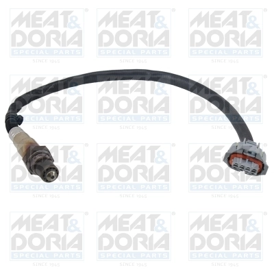 Oxygen Sensor